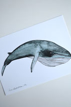 Print Bryde Whale A5