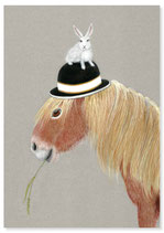 Postkarte PONY