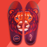 DESTIN - LION