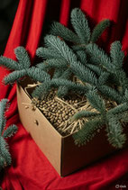 Aufzucht-Box 3 - Royale Medizin - Entzündung, Schmerz & Schlaf