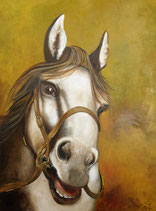 Cabeza de caballo
