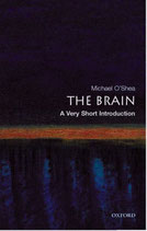 The Brain: A Very Short Introduction by Michael O'Shea