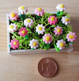 Blumenbeet rosa weiss