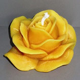 Rose mittel