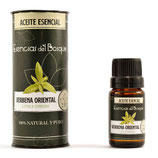 ✨ ¡Despierta tus sentidos con Verbena Oriental!