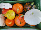BIO Kürbis - Verschiedene Sorten - per kg
