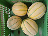 BIO Zuckermelonen - per kg