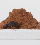 Kakao pur - Smoothie (Trinkschokolade)
