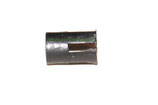 RS87113 - Tulipe