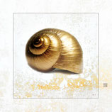 Gold-Schnecke III