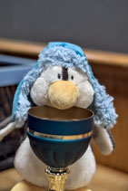 DWZ Cup