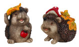 Igel lachend 19+21cm x 15+22cm