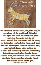 Steinbock ( 22. Dezember - 20. Januar )