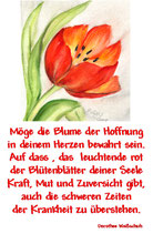 Möge die Blume der Hoffnung