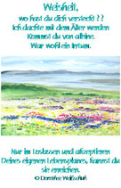 Weisheit wo hast du dich versteckt