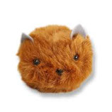Wild Hairy Haggis