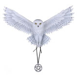 Awaken your Magic