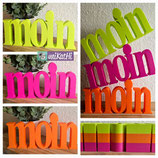 Schriftzug "moin"