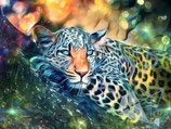 colorful Leopard