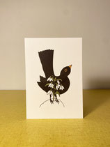 Carte «Les perce-neige»