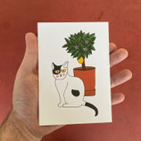 Carte «Le citronnier»