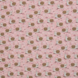 Schnecken rosa
