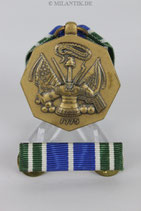 USA - Achievment Medal + Ribbon