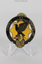 USA - Reg. Unit Badge