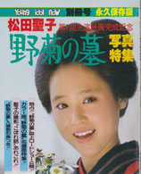 松田聖子 野菊の墓写真特集(ヤング・アイドル・ナウ別冊号/映画雑誌)