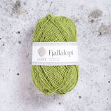 Fjallalopi Farbe 3032 Rockweed