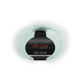 Pro Lana Kid Seta Farbe 63