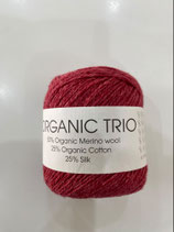 Organic Trio Farbe 5030