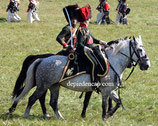 Schabraque de Capitaine de Chasseur à cheval de la Garde