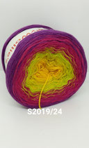 Wollie - S2019/24