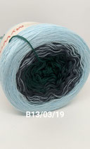 Wollie - B13/03/19