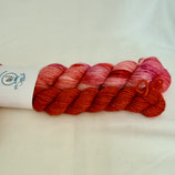 KIT STAR: RIO - PEKIN