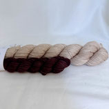 KIT : TERRE INCONNUE -ROTTERDAM