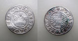 Polen, Halbgroschen  1507