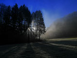 Nebel Halbgefrorene Wiese