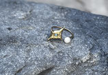 COSMIC GATE ring