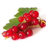 Johannisbeerenkonfitüre