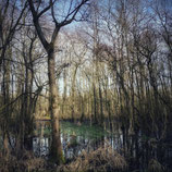 2 personen workshop op afspraak Smartphone Natuurfotografie (119 p.p.)