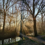 2 personen workshop op afspraak Smartphone Natuurfotografie (94,50 p.p.)
