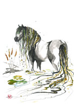Kelpie