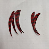 5" Feder barred rot 6 Stk.