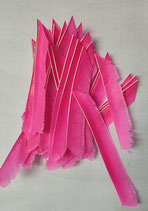 Trueflight Feder Volle Länge pink