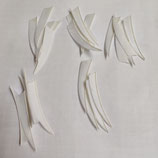 4" Feder weiß 24 Stk.