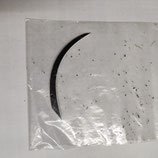 5" Feder schwarz für  z.B. OK 1Stk.