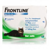 Frontline