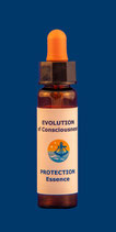 Essence Inner and Outer PROTECTION